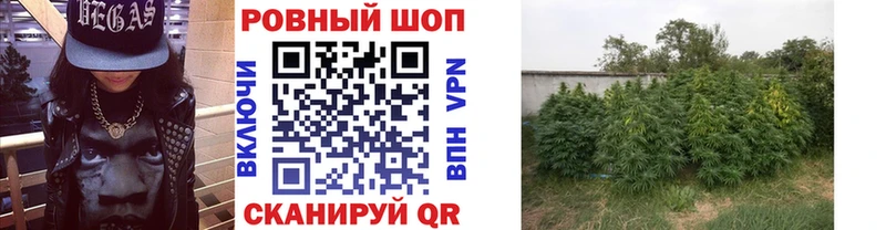 Магазин наркотиков Ленинградская Cocaine Бошки Шишки ГЕРОИН Амфетамин Мефедрон ГАШ СОЛЬ