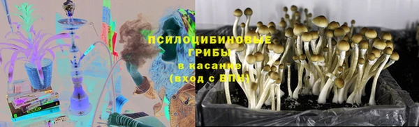 2c-b Осташков