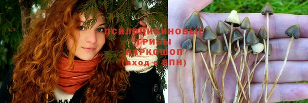 синтетический гашиш Абдулино