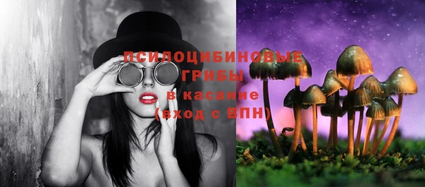 дурь Абинск