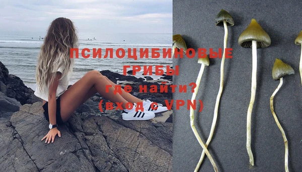 дурь Абинск
