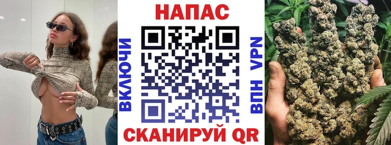 где найти наркотики  Ленинградская  Каннабис VHQ 